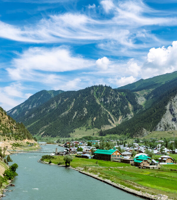 forest-block-gurez-valley
